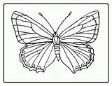 Coloring Butterfly Monarch Pages Popular sketch template