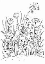 Blumenwiese Blumen Malvorlage Malvorlagen sketch template
