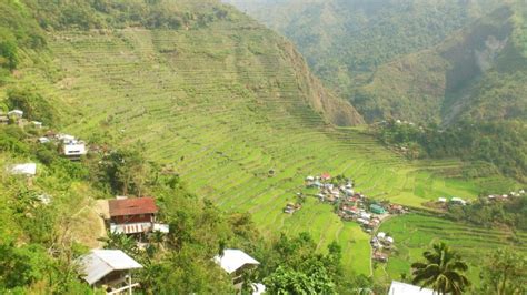 my batad rice terraces journey tips lessons