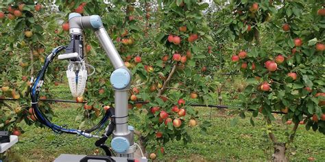 monash researchers develop robot apple harvester australian manufacturing forum