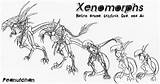 Xenomorph Xenomorphs Peanuttie sketch template