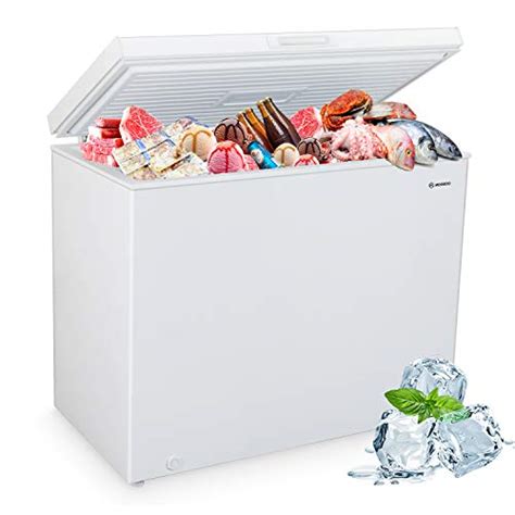 Best Small Freezers Reviews 2023 By Ai Consumer Report
