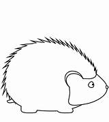 Hedgehog Colorare Riccio Istrice Rysunek Igel Malvorlagen Disegni Semplice Jeż Kolorowanki Obraz Prosty Carino Webstockreview Darmowe Wydruku sketch template