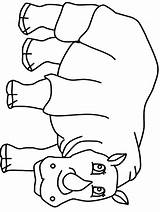 Nashorn Ausmalbilder Rhinozeros Copii Colorat Fise Rhino3 Rhino Rinocerontes Colorir Desenat Colorido sketch template
