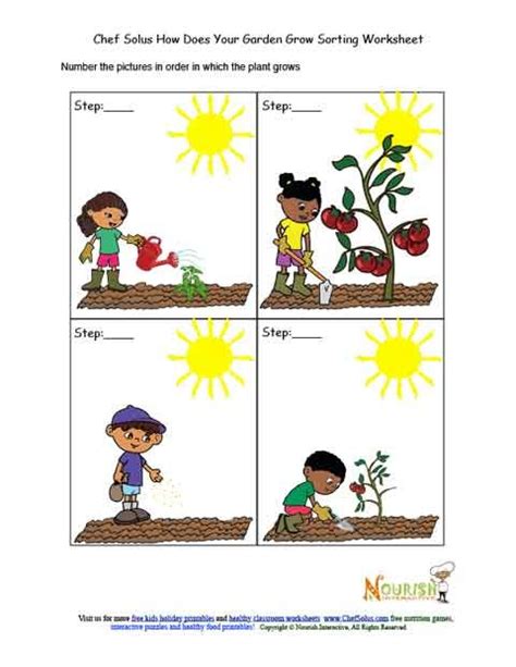 kids garden chronological sorting activity worksheet