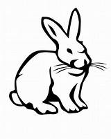 Colorat Iepure Hare Planse Desene Arctic Iepuri Animale Domestice Hares Iepurasi Iepurele Designlooter sketch template