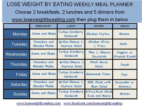 calorie meal plan  fast weight loss lose weight