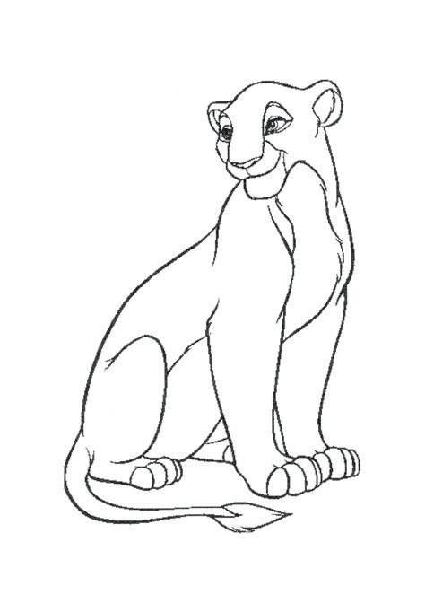lioness drawing images     drawings