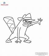Phineas Ferb Platypus Amigo Channel Plantillas Ausmalen Planetadibujos Disegno Ornitorrinco Malvorlagen sketch template