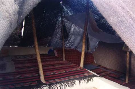 black tent black shorty grow tent    extension kit ggtsh  home depot sc  st