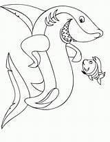 Coloring Shark Pages Printable Popular Kids sketch template