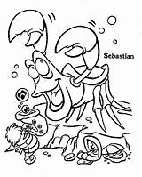 Coloring Pages Sebastian Mermaid Little Berenstain Bear Popular Coloringhome sketch template