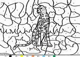 Tigre Magique Zahlen Cheetah Coloriage Pintar Ausmalen Coloriages Hellokids Animaux Juego Afrique Malen Jaguar Ausmalbilder Guépard Mandala Maths Wildtiere Chrétien sketch template