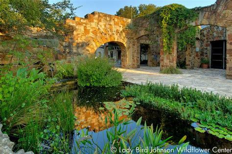 lady bird johnson wildflower center hours prices and events tour texas