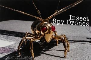 top secret nsa insect spy drone