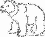 Bear Brown Coloring Coloring4free Related Posts sketch template