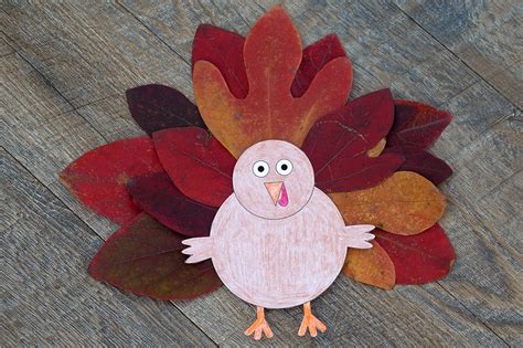 kids love  creative design   thanksgiving turkey craft