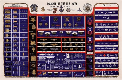 insignia    navy ranks uniforms chart picture print ebay