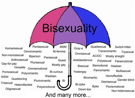 paraguas bisexual lgbt ♡ amino