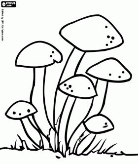 group  fungi coloring pages nature  coloring pages coloring