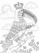 Toucan Roi Adultes Kchungtw Coloringbay Bestcoloringpagesforkids sketch template