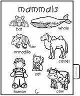 Animal Printable Groups Book Preview sketch template