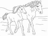 Cavallo Colorare Puledro Stanno Camminando Campo Raskrasil sketch template