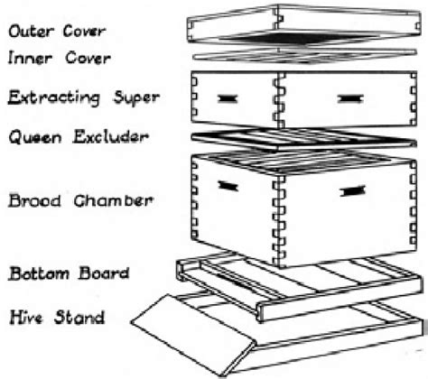 2 3 Parts Of A Langstroth Hive Source Namayanja Download