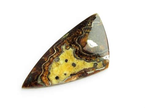 simbircite ammonite natural stone cabochon xx mm etsy