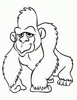 Coloring Pages Gorilla Night Good Printable Privacy Policy Contact sketch template