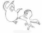 Pages Rio Coloring Nico Movie Bird Blu Template Papoušek Colouring Omalovanky Cz Creative Kids Birds Omalovánky Book sketch template