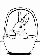 Bunny Basket Coloring Rabbit Pages Easter Colouring Sitting Cute Printable Kids Little Baskets Easy Choose Board sketch template