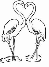 Flamingo sketch template