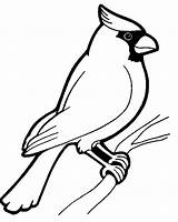 Coloring Bird Pages Birds Printable Colouring Sheet Animal Cardinal Kids Paper Vogel sketch template