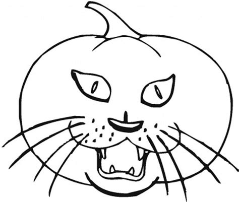 black pumpkin cat coloring pages  printable coloring pages