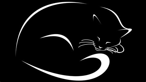 hitam putih abstrak kucing hd wallpaper desktop layar lebar definisi