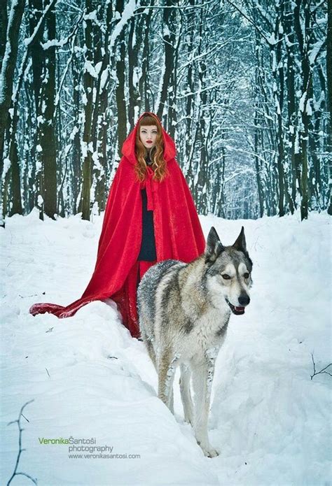 Deep Snow Red Riding Hood Wolf Little Red Riding Hood