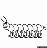 Centipede Coloring Pages Animals Insect Millipede Enjoy Summer Caterpillar Cute 67kb 565px Kids Legs Lot sketch template
