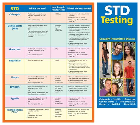 Buy Sexually Transmitted Disease Std Facts Poster Laminated 22 X 29