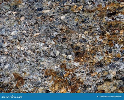 background  conglomerate rock stock photo image  small