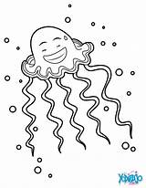 Medusa Qualle Jellyfish Coloriage Ausmalen Algues Marins Hellokids Coloriages Animaux Grec Dieu Apollon Meduse Línea Marinos sketch template