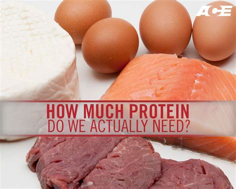 How Much Protein Do We Actually Need Food Eat Protein