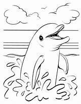 Dolfijn Dolphins Delfin Dolfijnen Delfini Topkleurplaat Colorare Dieren Ausmalen Printen Delfine Ausmalbilder Delfino Tekeningen Cries Bezoeken Kiezen Raskrasil sketch template