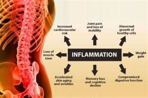 inflammation   effects  health farrlabscom