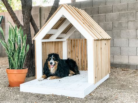 diy modern dog house  oscar modern diy modern bench dog house  porch modern dog