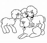 Colorear Ovejas Pecore Ovelhas Ovelles Oveja Moutons Desenho Ovejitas Pecorelle Acolore Dibujospara Granja Dibuix Dibuixos Coloritou Tablero Imagui Infantiles sketch template