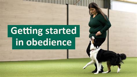 started  dog obedience youtube