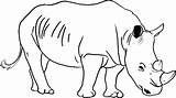 Rhino Coloring Pages Rhinoceros Wild Getdrawings Getcolorings Drawing Print Baby sketch template