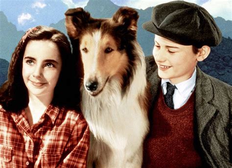 film review lassie come home local