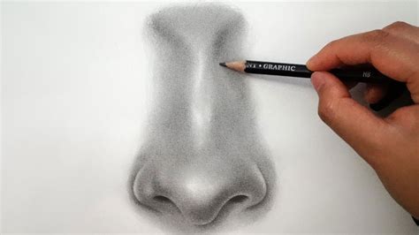 draw  nose  beginners   tutorials